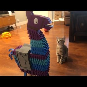 Meet your Posher, Robert